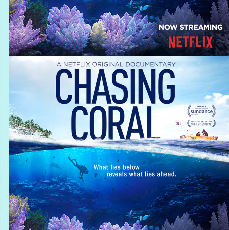 Chasing Coral Netflix Cover Image